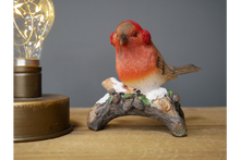 Load image into Gallery viewer, Winter Robin