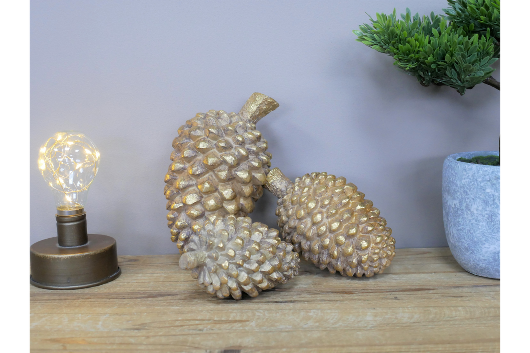 Set Of Three Pinecones