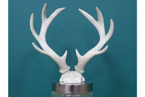 Antler Jar