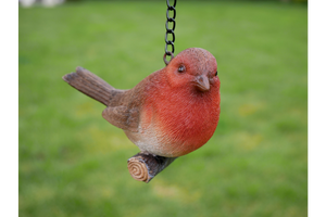Hanging Robin