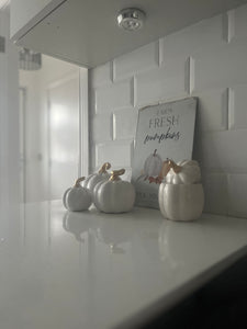 Ceramic Pumpkin With Gold Stalk - White