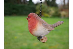 Hanging Robin