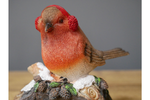 Winter Robin