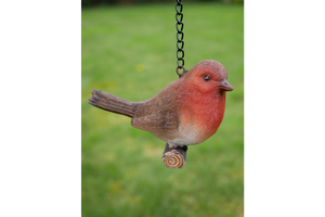 Hanging Robin