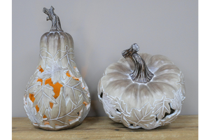 Led leaf Gourd