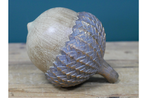 Autumn acorn