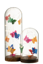 Load image into Gallery viewer, Led Butterfly bell Jar