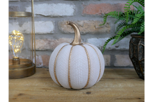 Load image into Gallery viewer, Dimpled pumpkin