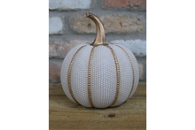 Load image into Gallery viewer, Dimpled pumpkin