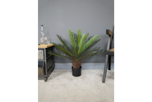 Load image into Gallery viewer, Artificial Cycad