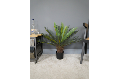 Artificial Cycad