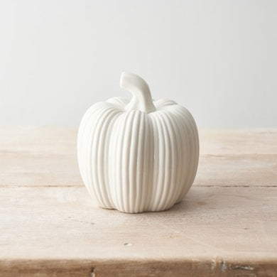 White Ribbed Pumpkin, 9.5cm