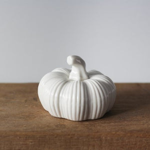 White Ribbed Pumpkin, 8cm