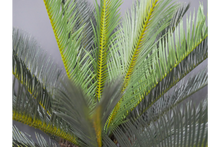 Load image into Gallery viewer, Artificial Cycad
