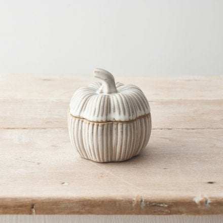 9.5cm Natural Pumpkin Container