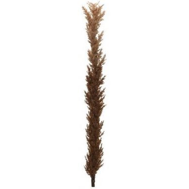 Artificial Pampas on stem - brown