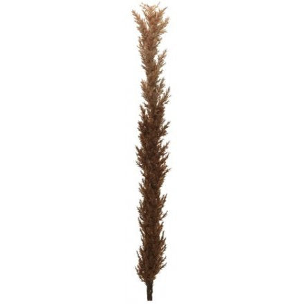 Artificial Pampas on stem - brown