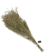 Load image into Gallery viewer, dried sea lavender/statice