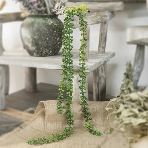 String of Pearls
