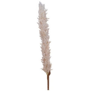 Large Pampas Stem, Cream