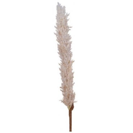 Large Pampas Stem, Cream