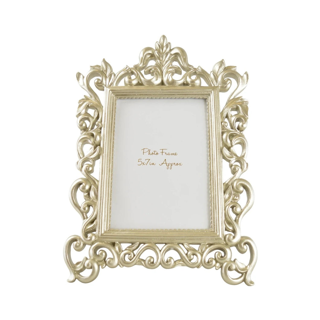 Ornate Large Photo Frame in Champagne 5x7