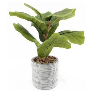 Potted Artificial Fig Plant, 23cm
