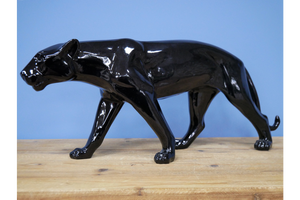 Black Leopard