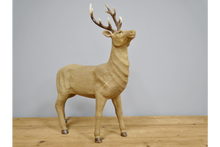 Load image into Gallery viewer, Stag
