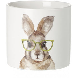 Hare Wearing Glasses Cement Pot