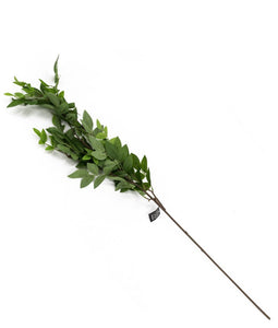 Leafy green plant stem