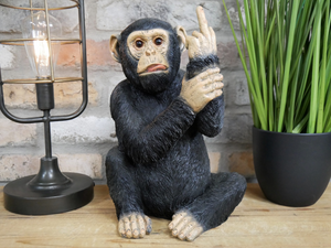 Up yours monkey