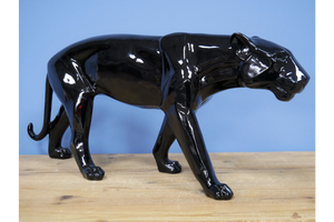 Black Leopard