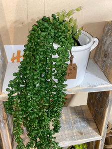String of Pearls