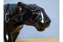 Load image into Gallery viewer, Black Leopard