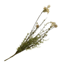 Load image into Gallery viewer, Artificial Dried Daisy stem