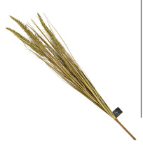 Load image into Gallery viewer, Wheatgrass green stem