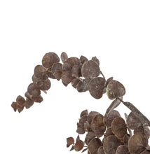 Load image into Gallery viewer, Purple Eucalyptus stem