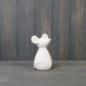 White Led mouse