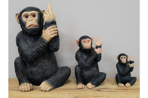 Up yours monkey