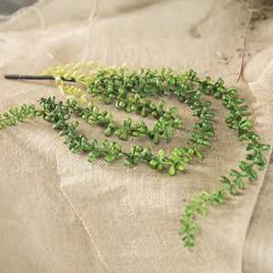 String of Pearls