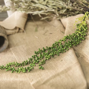 String of Pearls