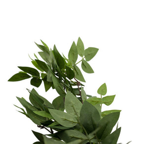Leafy green plant stem