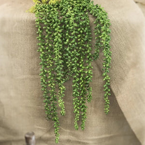 String of Pearls