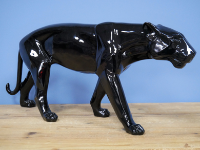 Black Leopard
