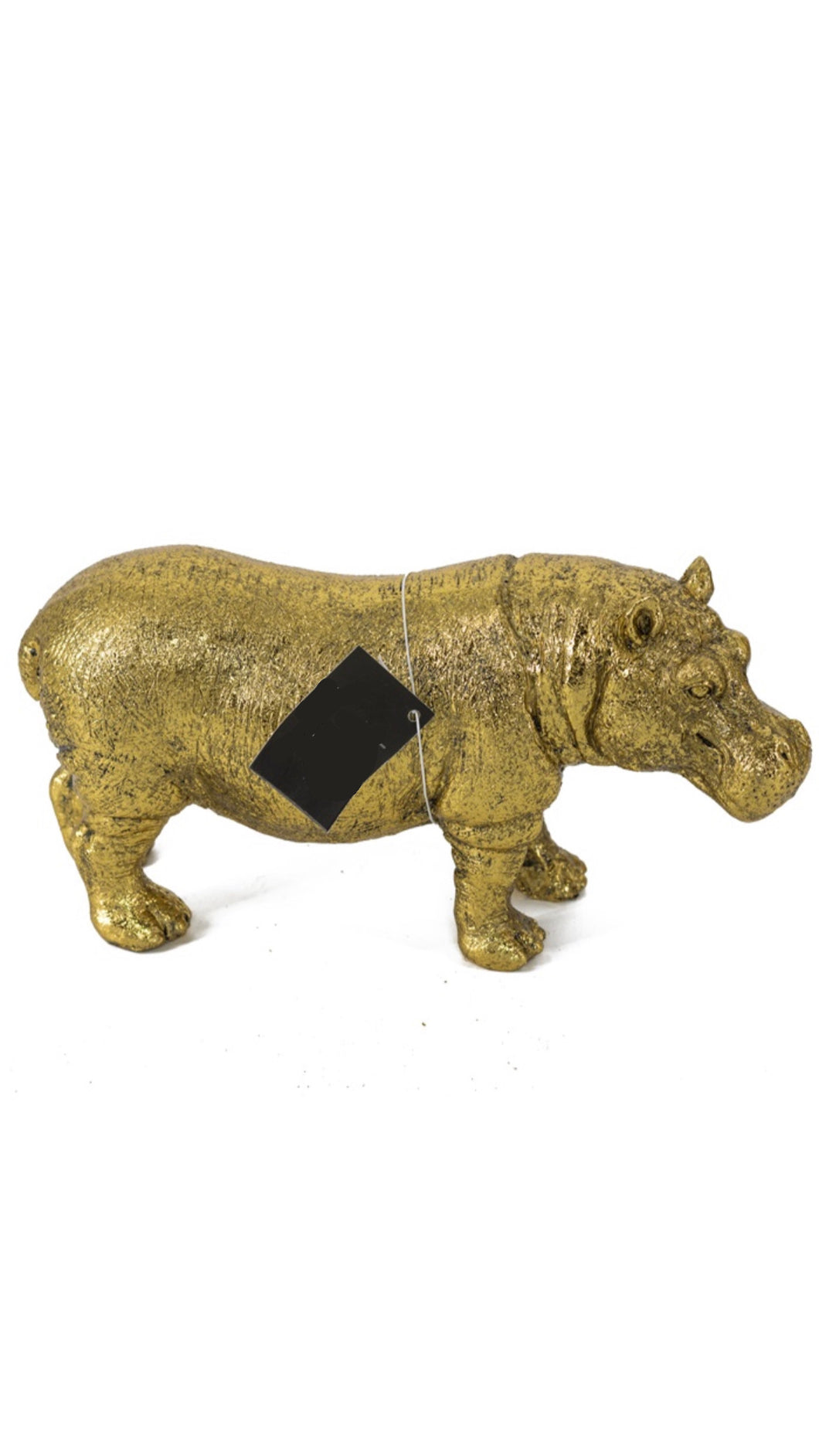 Large gold Hippo