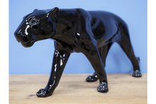 Load image into Gallery viewer, Black Leopard