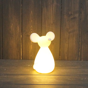 White Led mouse