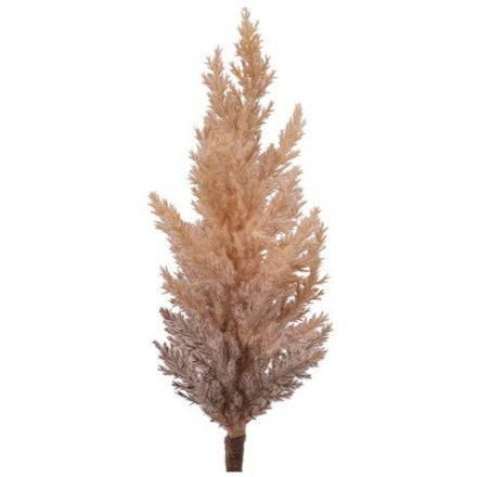 Ombre Pampas Grass Stem, 88cm
